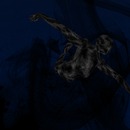 Thumb 506b839342f2194bdc000001