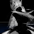 Thumb 506b83fb29c8a83cb0000001