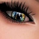 Thumb 50f999a290117819ce000001