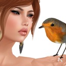 Thumb 50f9cf866bcee60717000001