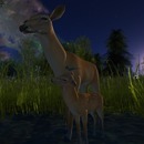 Thumb 50faf7ce9be1310034000001