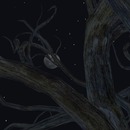 Thumb 50faf9a8a142811f38000001