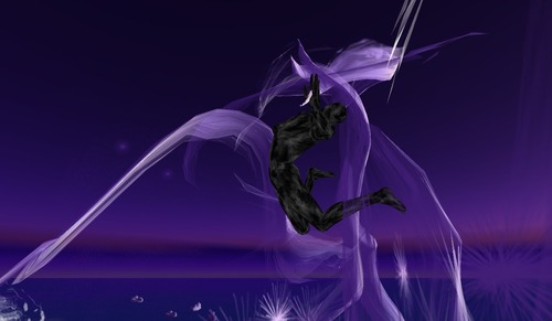 Web 506b830929c8a83a73000001