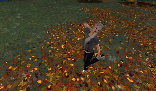 Web 506e0d2db4d3c33f49000001