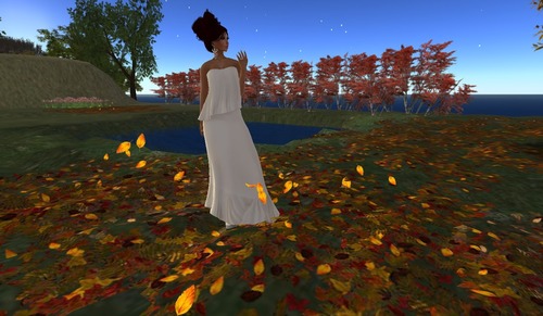 Web 506f82cb48716d2ed8000001