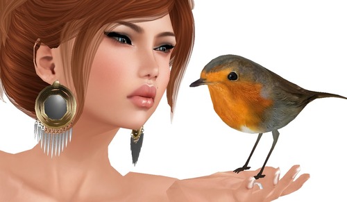 Web 50f9cf866bcee60717000001