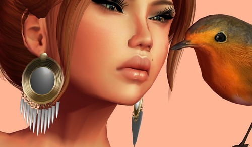 Web 50f9d2dc2dc686761f000001