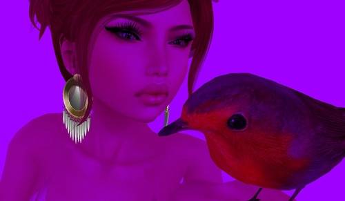 Web 50f9d4032dc68678d6000001