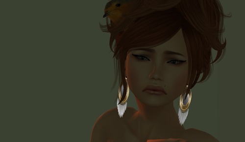 Web 50f9d752bd6a0b5ca5000001