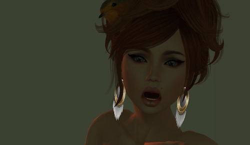 Web 50f9d7cd2dc68602b0000001