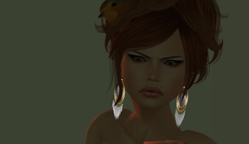 Web 50f9d88427d91a7b3c000001