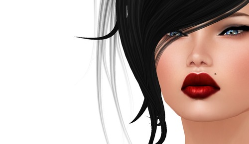 Web 510dd337f3cbc81c3b000001