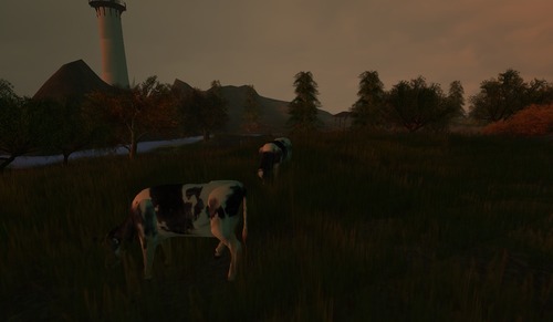 Web 51130dfc2d41b21275000001