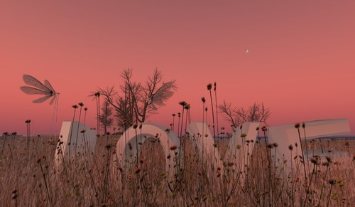 Web 51202a4fb9d20f1320000001