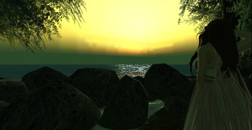 Web 5401631df8a1ec4fb2000001