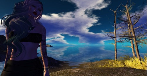 Web 5403e9c6128cc97b8c000001