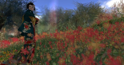 Web 51b46ff96ef2781cf4000001