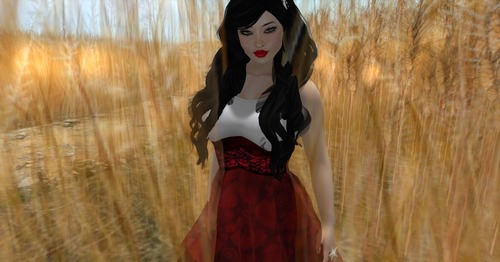 Web 51b47b5b0859e465e5000001