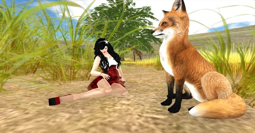 Web 51b47fa00859e47112000001