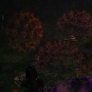 Thumb 51f41eb74793a20750000001