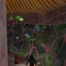 Thumb 56d1c7ddb713f754f1000001