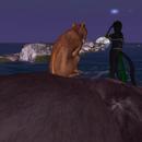 Thumb 5fe99df184b0d71fef5a08ba