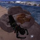 Thumb 5fe9a229d9058b383ffbc721