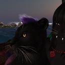 Thumb 5fe9ad205b04760dca0fdfaa