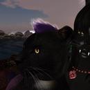 Thumb 5fe9ad6101661746654f1b2c