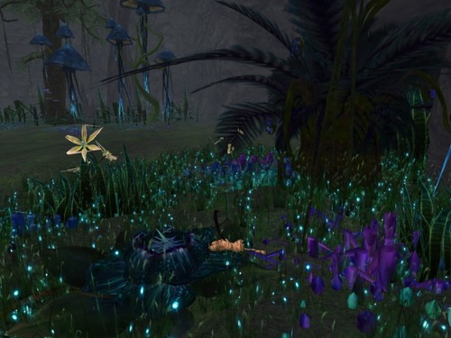 Web 52756428a73e21107e000001