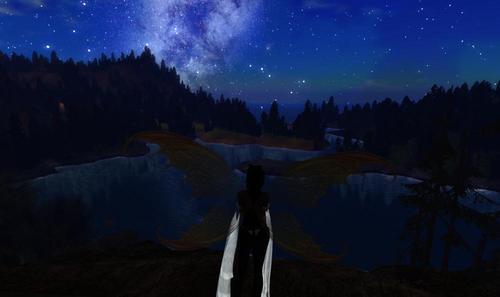 Web 603aa4807d8df76d92ced41f