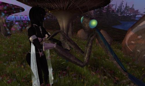 Web 604c75161ba9e009eb13eafc