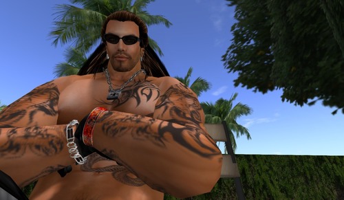 Web 5269de01e153221488000001