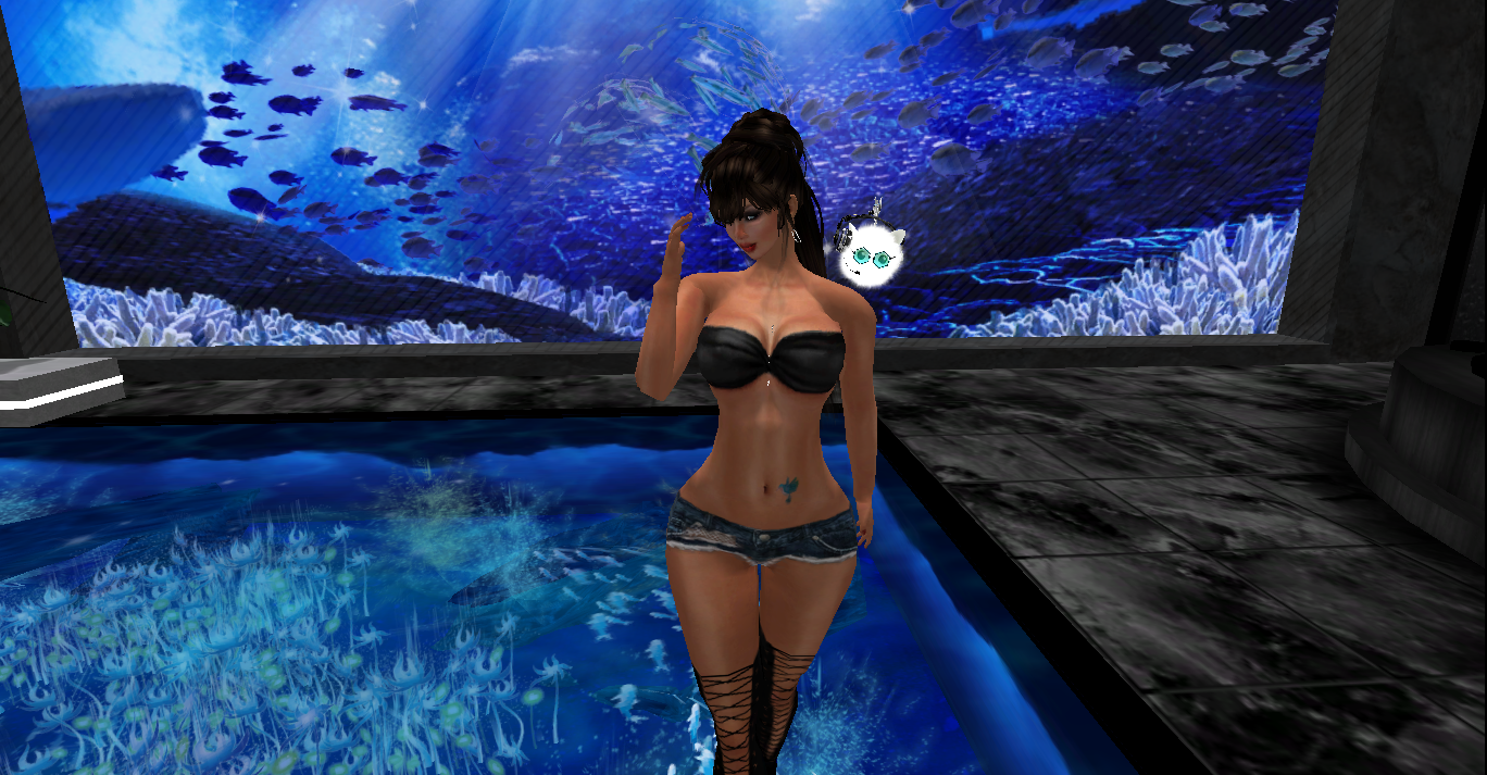 Original 50104cb4774fb505ee000001