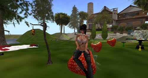 Web 4fee0f73243885060d000001