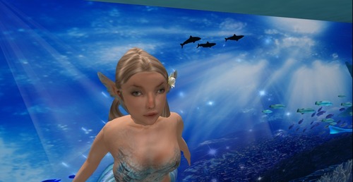 Web 521f52e087c5265bd1000001