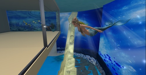 Web 521f533681e15d43cf000001