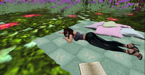 Web 5242d5e6e76a900c81000001