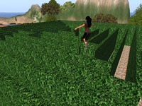 Small 5705bd729934e040fb000001