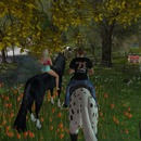 Thumb 562d4e28128cc91352000001