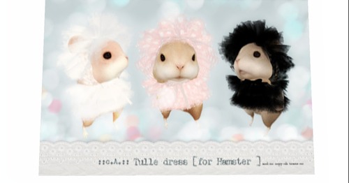 Web 506e683827d8c546eb000001