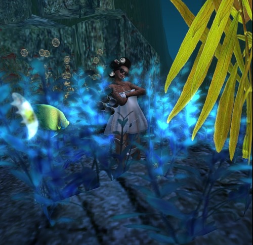 Web 51c7a82f14f6c5352f000001