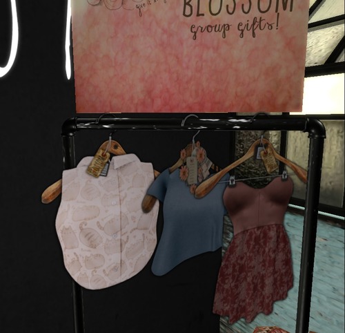 Web 51f2798d6443c25219000001