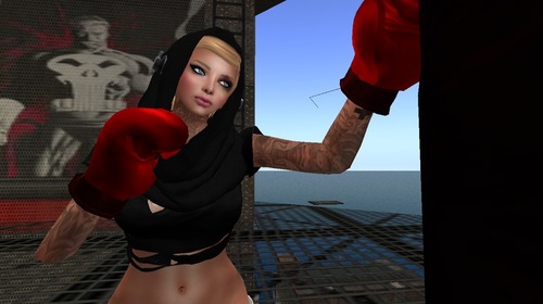 Web 51fc6872cf7e01766e000001