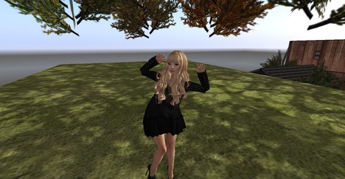 Web 51a08ae8a51240434e000001