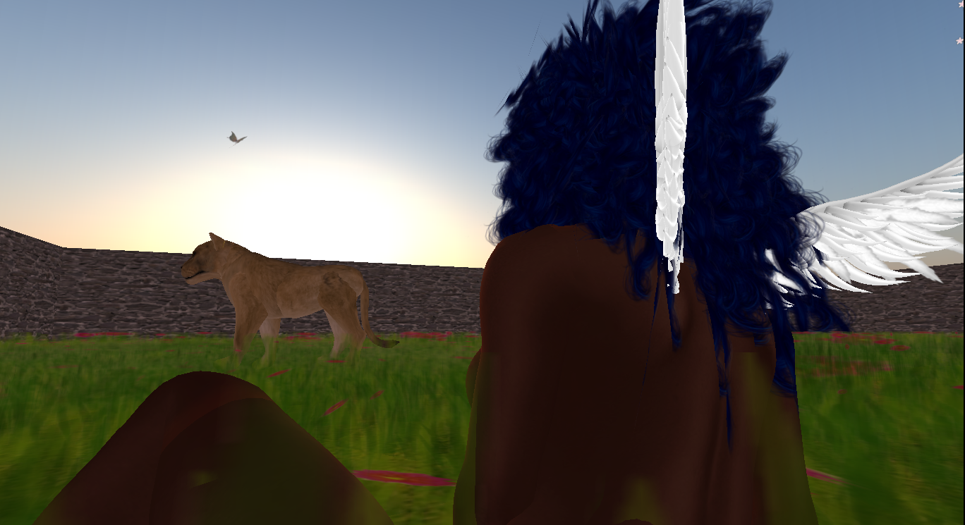 Original 55186944f8a1ec33c3000001