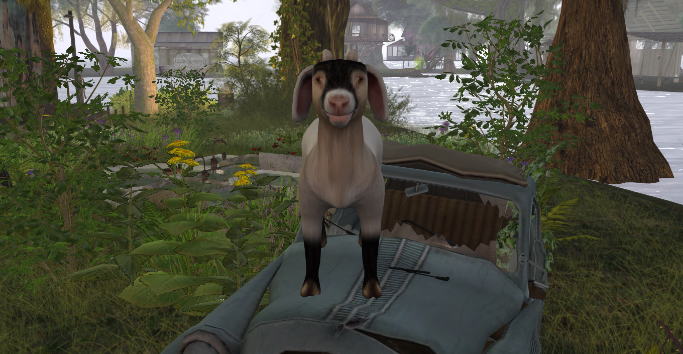 Original 592a298a289dd22587000001