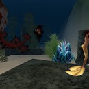 Thumb 51254957c2231e63be000001