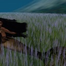 Thumb 54c02199f8a1ec5d17000001