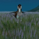 Thumb 54c021dc128cc91df7000001